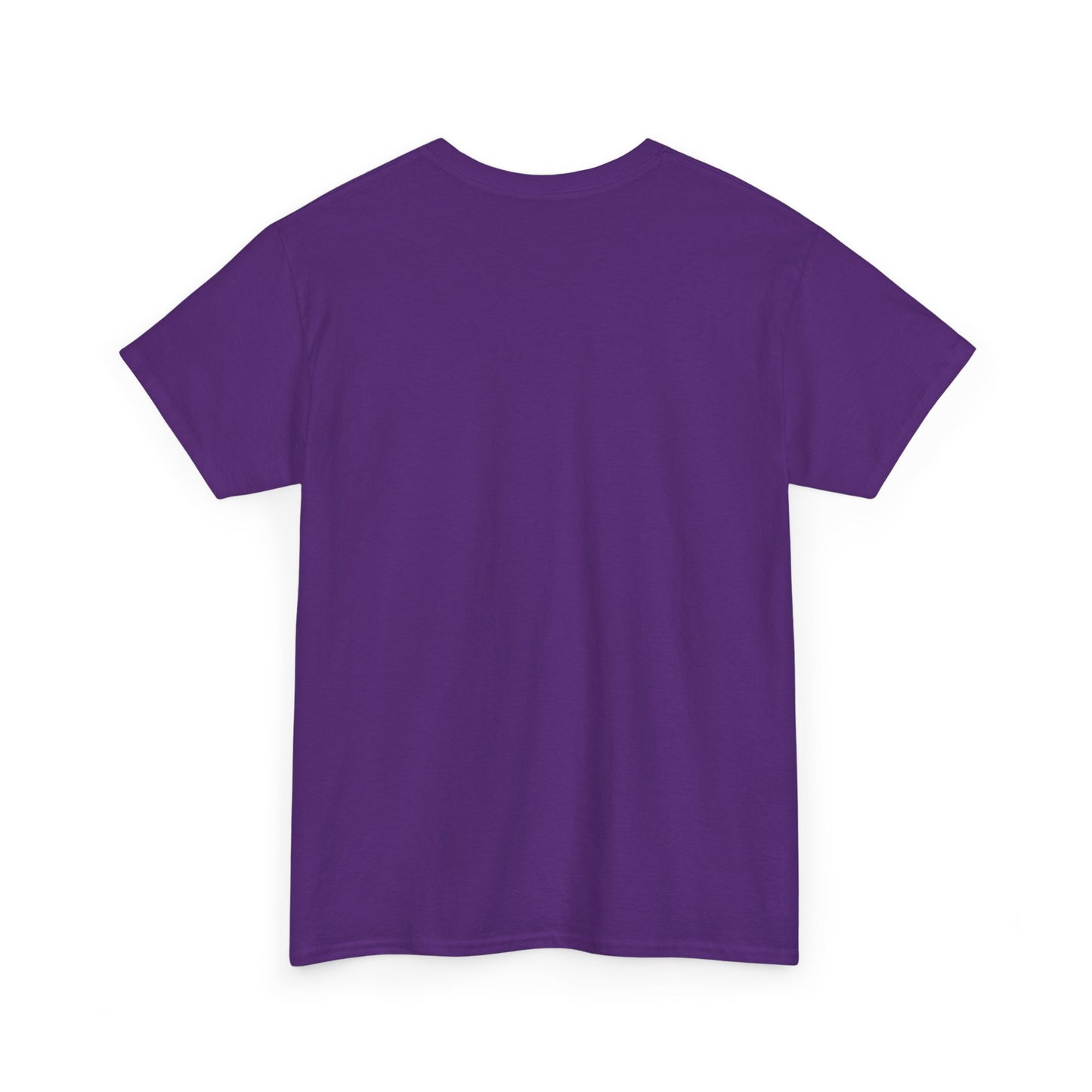 No More Stolen Sisters, Unisex Heavy Cotton Tee